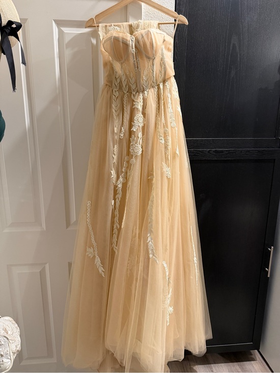 Dresses & Skirts - Strapless Lace Appliqué Tulle Gown in Champagne